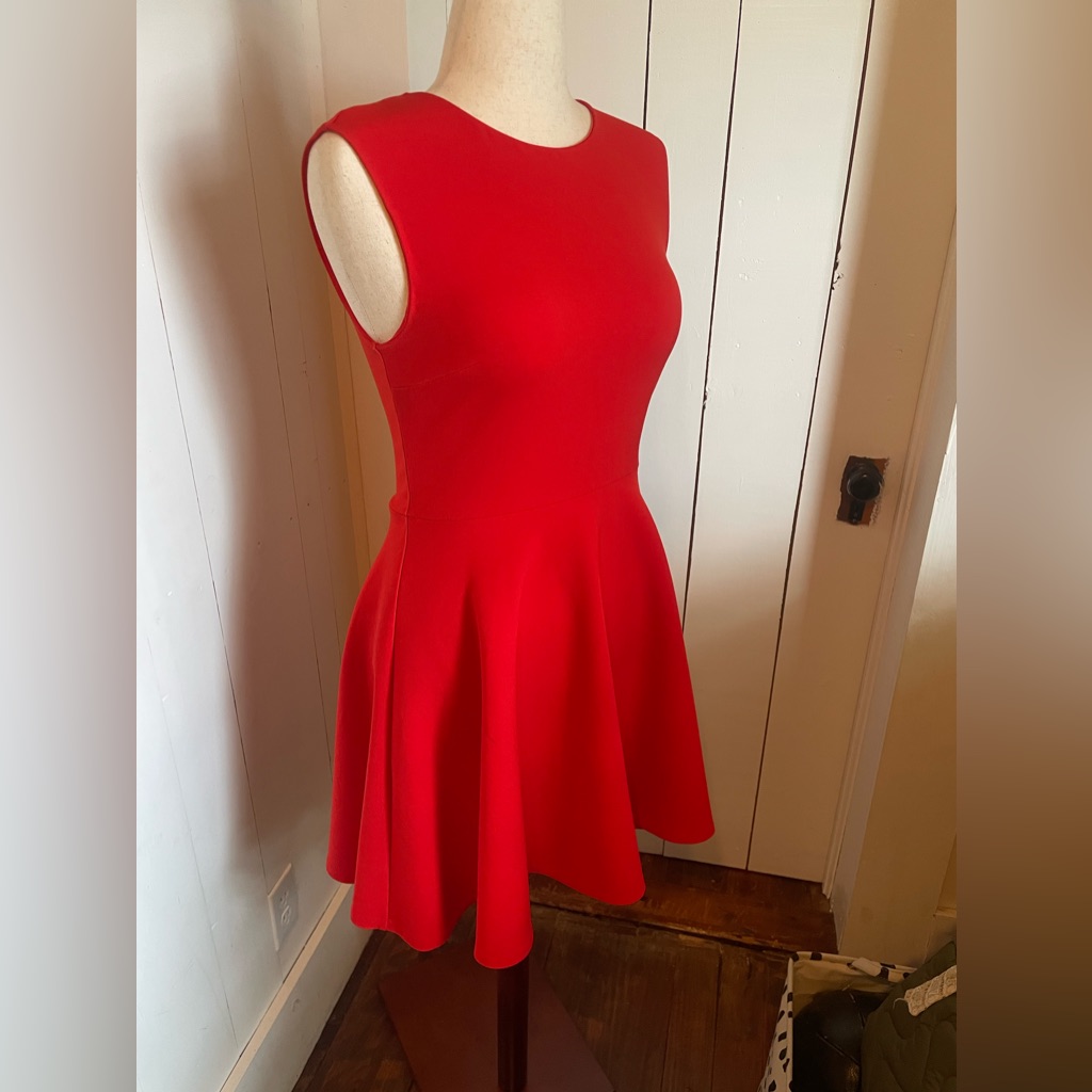 Diane Von Furstenberg Red Fit And Flare Mini Dress Size 6